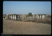 Photograph of: Jewish cemetery in Kanjiža : Tombstones.