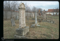 Photograph of: Jewish cemetery in Bečej : Tombstones.