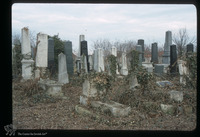 Photograph of: Jewish cemetery in Bečej : Tombstones.