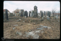 Photograph of: Jewish cemetery in Bečej : Tombstones.