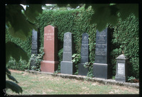 Photograph of: Jewish cemetery in Čakovec : Tombstones.