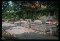 Photograph of: Jewish cemetery in Čakovec : Tombstones.