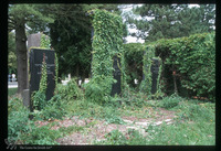 Photograph of: Jewish cemetery in Čakovec : Tombstones.