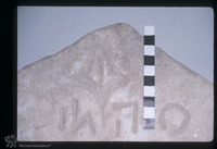 Photograph of: Ancient tombstone with Hebrew inscription and incarved menora in the Archeological Museum in Durrës : Upper part.