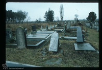 Photograph of: Jewish cemetery in Šid.