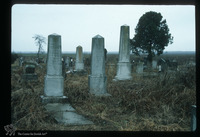 Photograph of: Jewish cemetery in Šid : Tombstones.