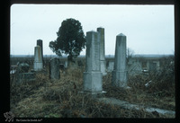 Photograph of: Jewish cemetery in Šid : Tombstones.