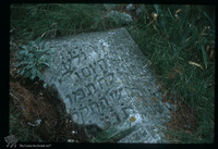 Photograph of: Jewish cemetery in Split : Tombstone.