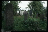 Photograph of: Jewish cemetery in Vinkovci : Tombstones.