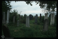 Photograph of: Jewish cemetery in Vinkovci : Tombstones.