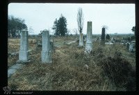 Photograph of: Jewish cemetery in Šid : General view.
