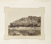 Jaffa
