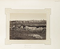 Palestine Rameleh, route de Jérusalem.