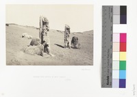 Colossi and Sphynx at Wady Saboua
