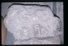 Photograph of: Fragments of tombstones from a destroyed Jewish cemetery in Vlorë.