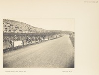 Finishing the North Road to Haifa, 1937