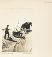 Levelling of Sand Dunes in Haifa Bay