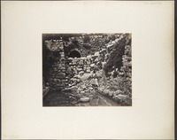 Pool of Siloam