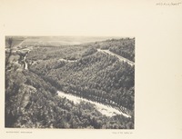 Balfour Forest, near Ginegar
