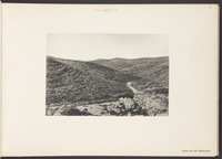 Vallée dite des Térébinthes
