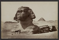 The Sphinx