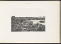 Néba el-Leddân (Petit-Jourdain)