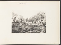 Jardin de Gethsémané