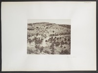 Mount of Olives