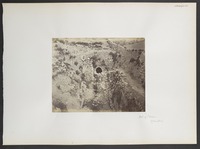 Pool of Siloam