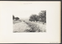 Route de Jérusalem à Béthanie