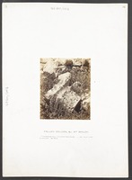 Fallen Column, &c. At Shiloh