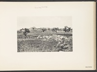 Djéba (Guéba)