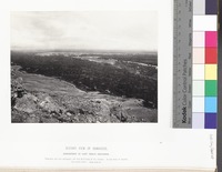 Distant View of Damascus, Embosomed in Vast Peach Orchards