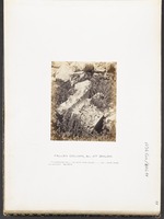 Fallen Coumn, &c. at Shiloh