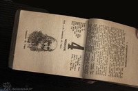 Photograph of: Jewish-Romanian Calendar.