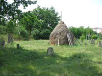 Photograph of: Jewish Cemetery in Alba Iulia.