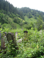 Photograph of: Jewish Cemetery in Rakhiv.