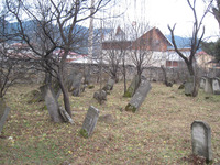 Photograph of: Jewish Cemetery in Câmpulung Moldovenesc.
