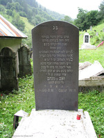 Photograph of: Jewish Cemetery in Rakhiv.