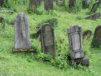 Photograph of: Jewish Cemetery in Rakhiv.