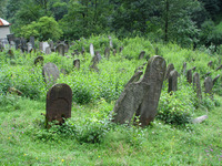 Photograph of: Jewish Cemetery in Rakhiv.