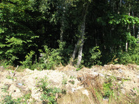 Photograph of: Holocaust Monument in Ivano-Frankivsk (Stanisławów).
