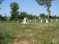 Photograph of: Jewish Cemetery in Ivano-Frankivsk (Stanisławów).
