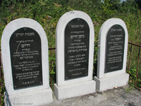 Photograph of: Jewish Cemetery in Ivano-Frankivsk (Stanisławów).