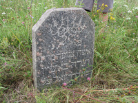 Photograph of: Jewish cemetery in Borisov, Belarus.