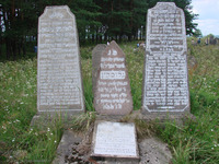 Photograph of: Jewish cemetery in Borisov, Belarus.