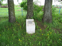 Photograph of: Holocaust Memorial (second) in Orsha.