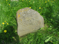Photograph of: Jewish Cemetery in Dubrovno.