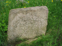 Photograph of: Jewish Cemetery in Dubrovno.