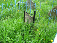 Photograph of: Jewish Cemetery in Dubrovno.